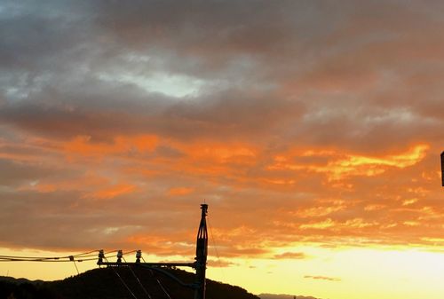 IMG_0291.jpg